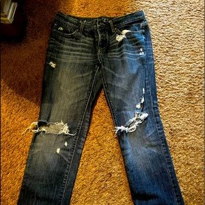 Ann Taylor Loft Boyfriend